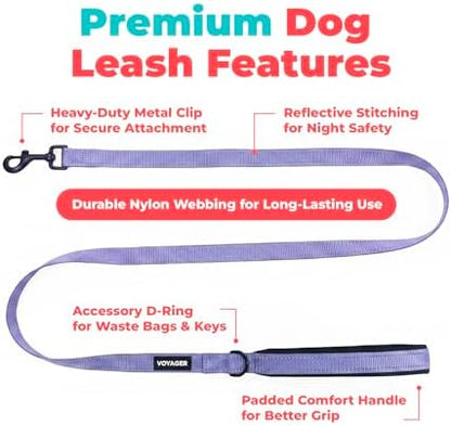 Best Pet Supplies Voyager Nylon Dog Leash - Lavender, Medium - Image 2