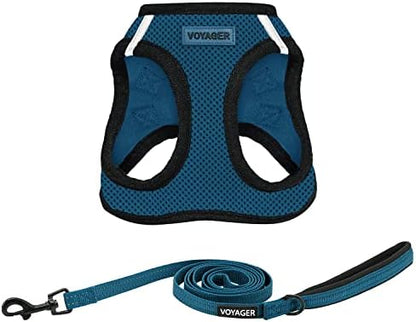 Best Pet Supplies Voyager Step-in Air All Weather Mesh Harness and Reflective Dog 5ft Leash Combo with Neoprene Handle, for Small, Medium and Large Breed Puppies - Blue/Black Trim, Small by BestPetSuppliesLLC