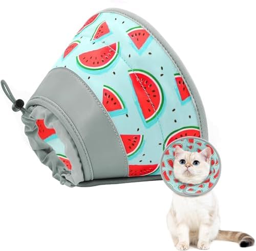 Cat Cone Collar Soft to Stop Licking, Adjustable, Foldable Lightweight Kitten Cones After Surgery Recovery for Cats & Kittens, Cat Cone Alternative, Easy Eating (Blue, L) by GoGoPaw