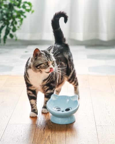 Raised Cat Food Bowl Ceramic 15° Tilted Cat Food Bowls Protect Cat's Spine Anti Vomiting Backflow Prevention Bowls for Adult Kitty, Kitten, and Small Dogs, Blue - Image 4