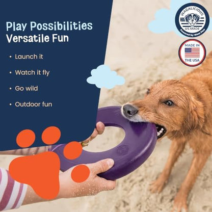 Airbound Flying Disc Dog Toy - Safe, Floating, Fetch - Grape - - Image 6