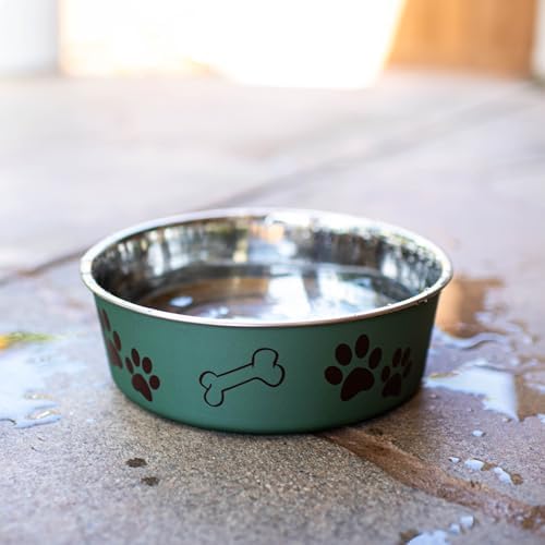 Loving Pets Bella Dog Bowls- Stainless Steel Dog & Cat Bowls - Spill Proof Dog Food Bowl, Cat Bowl, Puppy Essentials & Pet Supplies Great for Home & Travel (Large 35-65 lbs, Artichoke) - Image 6