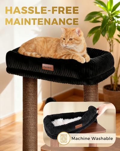 Small Cat Tree for Indoor Kittens, 30" Compact Modern Cat Tower - Image 4