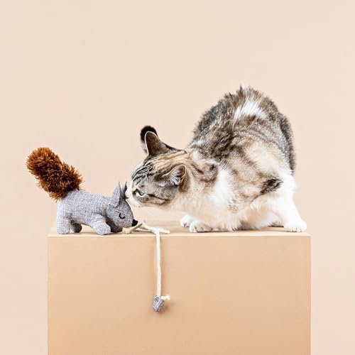 Fringe Studio ONE TUFF NUT Teaser Cat Toy, PetShop Collection (717001) - Image 5