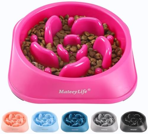 MateeyLife 1-Pack Slow Feeder Dog Bowls, 2 Cups, Dog Puzzle Feeder Bowl by MateeyLife