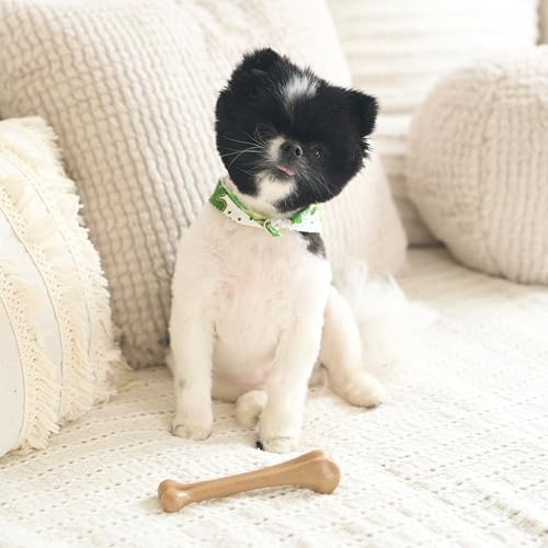 SPOT Bam-Bones Bone - Made with Strong Bamboo Fiber, Durable Long Lasting Dog Chew for Light to Moderate Chewers, Great Toy for Adult Dogs & Teething Puppies under 25lbs, 5.75in, Chicken Flavor - Image 4