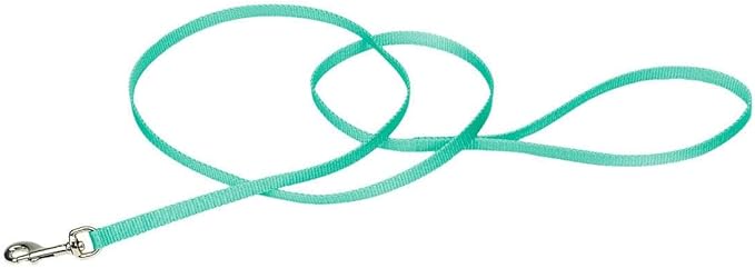 Coastal Pet Single-Ply Dog Leash - Sturdy Pet Leash - Comfortable & Stylish - Resists Fraying - Vibrant & Fade-Resistant Color - Teal, 3/8" x 6'