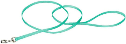 Coastal Pet Single-Ply Dog Leash - Sturdy Pet Leash - Comfortable & Stylish - Resists Fraying - Vibrant & Fade-Resistant Color - Teal, 3/8" x 6'