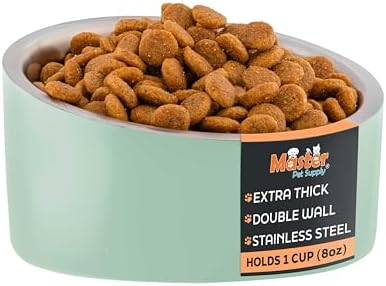Master Pet Supply Stainless Steel Slanted Dog Cat Food Bowl 8 oz Pistachio by MasterPetSupply