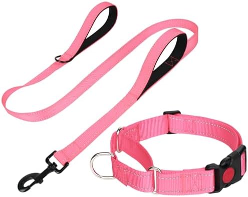 FunTags Martingale Dog Collar and Leash Set for Medium Dogs, Locking Buckle by FUNSTARTSHERE
