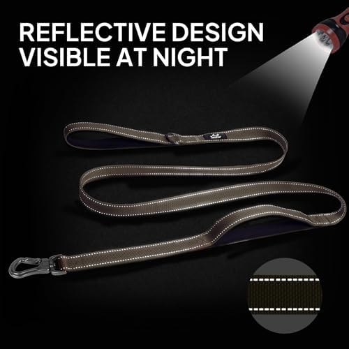 Twoear 6FT 1IN Heavy Duty Dog Leash for Large Dogs with 2 Padded Handles - Image 5