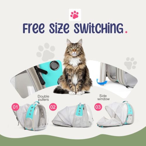 Dual Expandable Large Cat Backpack Carrier - Image 3