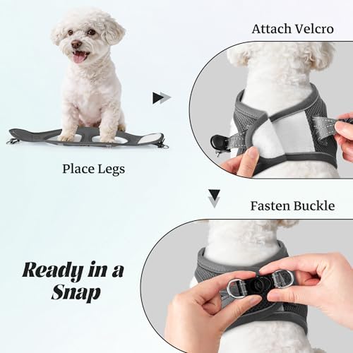 No Pull Dog Puppy Harness and Leash Set Reflective Mesh Vest Large - Image 4