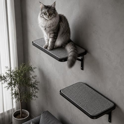 Cat Wall Shelf Window Perch, Cats Bed Hammock with Scratching Pad, Cat Shelf for Climbing Sleeping Playing,Black Furniture for Indoor Large Cats - Image 2