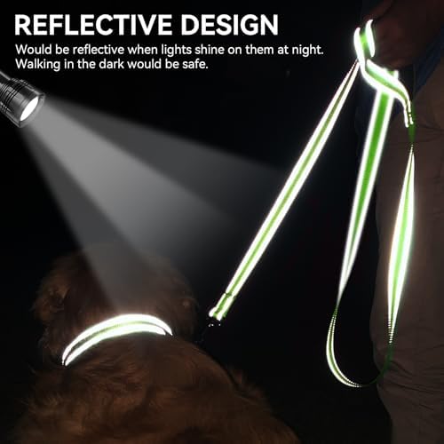 Joytale Reflective Dog Leash for Small Dogs, 5 FT x 3/4", Green - Image 4