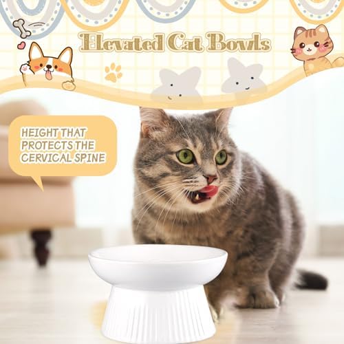 Layhit 2 Pack Raised Slow Feeder Cat Bowls Ceramic Elevated Cat Food Bowls Anti Vomiting Slow Feeder for Dog and Kitten for Dry and Wet Food(White) - Image 4