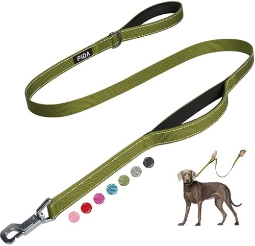 Fida Heavy Duty Dog Leash for Medium Large Dogs, 5 FT, Dual Padded Handles by Fida