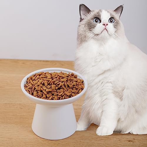 Ceramic Elevated Cat Food Bowls,6.2" Wide,2-Pack,White - Image 6