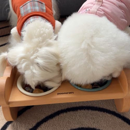 Elevated Double Ceramic Cat Bowls with Solid Beech Wood Stand, 10° Tilted - Image 6