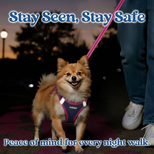 rabbitgoo Dog Harness Small Sized and Leash Set, Step in Soft Vest - Image 5