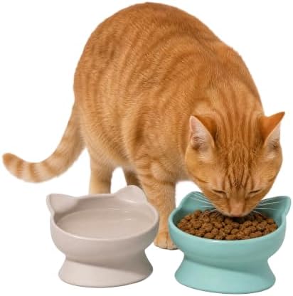 Kitty City Elevated Cat Bowls (Set of 2), Whisker-Friendly Raised Cat Food & Water Dishes, Modern Pedestal Design, Dishwasher Safe, 6.5 oz Each – Pink & Teal - Image 2
