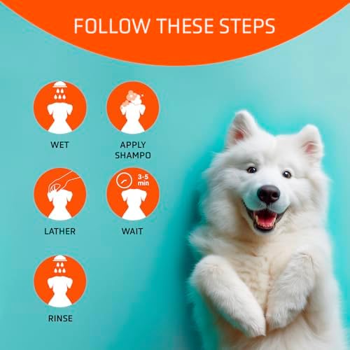 Artero Moisturizing. Shampoo for Dogs. Great Hydration. Ideal for Yorkshire Terrier Dogs, Bichon Maltese, for Pets with Long Hair and/or Dry or Damaged Coats. with Biotin. - Image 2