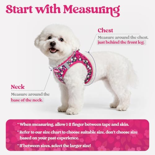 rabbitgoo Dog Harness Small Sized and Leash Set, Step-in Puppy Pet Vest - Image 2