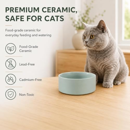 Havniva Cat Bowls Set of Two, 5.1” Ceramic Cat Food Bowls, Cat Water Bowl - Image 4