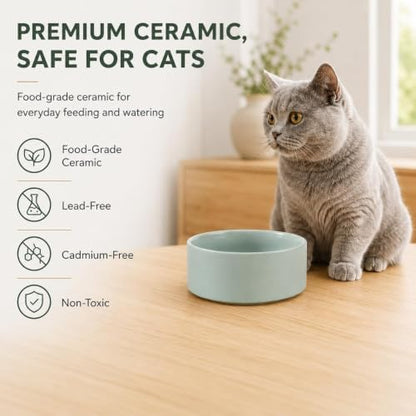 Havniva Cat Bowls Set of Two, 5.1” Ceramic Cat Food Bowls, Cat Water Bowl - Image 4