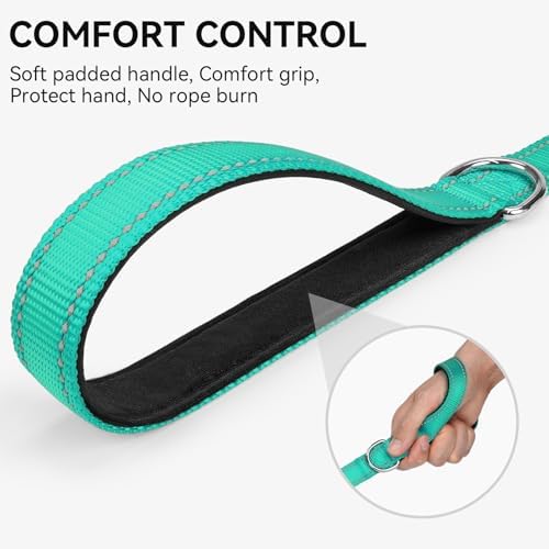 Joytale Reflective Dog Leash for Medium & Large Dogs, 5 FT x 1", Turquoise - Image 3