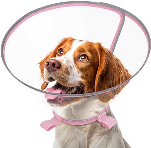 Clear Dog Cone for Medium Dogs Corgi, E-Collar After Surgery by Didopet