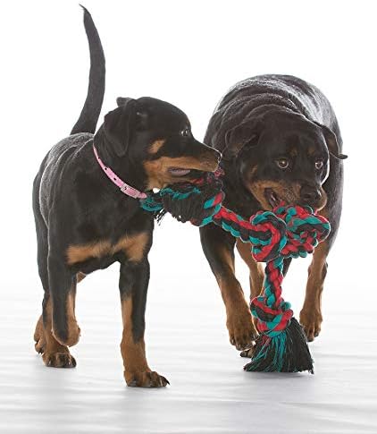 Mammoth Flossy Chews Color Rope Tug – Premium Cotton-Poly Tug Toy for Dogs – Interactive Dog Rope Toy – Tug Dog Chew Toy - Image 3