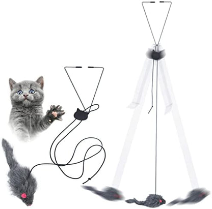 Kalimdor Interactive Cat Feather Toys,Retractable Teaser Toy ，Hanging Interactive Toys for Indoor Cats Kitten Play Chase Exercise, Kitten Mental Exercise Toys (2 Pack) by Kalimdor