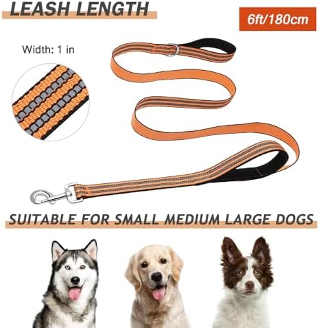 Hikiko 6FT Double Handle Traffic Dog Leash Reflective - Image 6