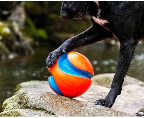 Chuckit! Amphibious Mega Ball or Roller That Floats for Medium and Large Dogs - Image 6