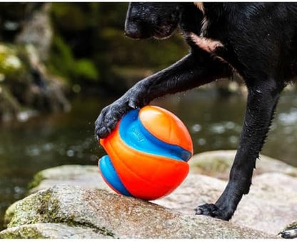 Chuckit! Amphibious Mega Ball or Roller That Floats for Medium and Large Dogs - Image 6