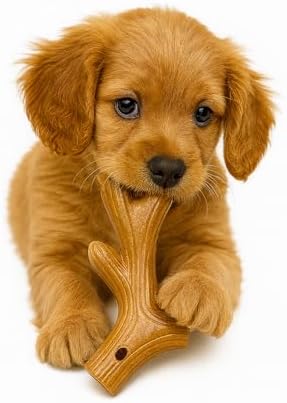 Jalousie Multipack Dog Squeaky Toys Bulk Bundle Pup Toy - Puppy Toys for Pets for Small Medium Breed (30 PCs Gift Basket) - Image 4