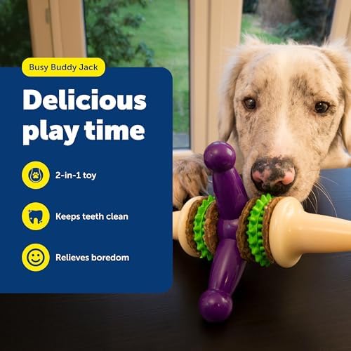 PetSafe Busy Buddy Jack - Treat Holding Dog Chew Toys - Helps Clean Teeth - Vanilla Scented Rubber for Strong Chewers - Treat Refills Included - Interactive Dog Toy Keeps Dogs Busy - Purple, Large - Image 2