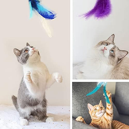 SONGWAY Interactive Cat Feather Toy Set - Retractable Teaser Wand with 6 Pcs Feather Refills with Bell, Cat Wand Toys for Indoor Cats Kittens Play Chase Exercise, Blue - Image 6