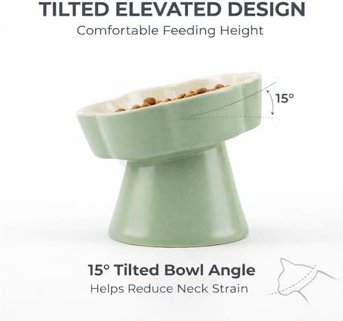 Ceramic Elevated Slow Feeder Cat Bowl, Raised and Gently Tilted Feeding Dish with Maze Design, Whisker-Friendly, Easy to Clean, for Indoor Cats and Small Dogs (Green/Ivory) - Image 3