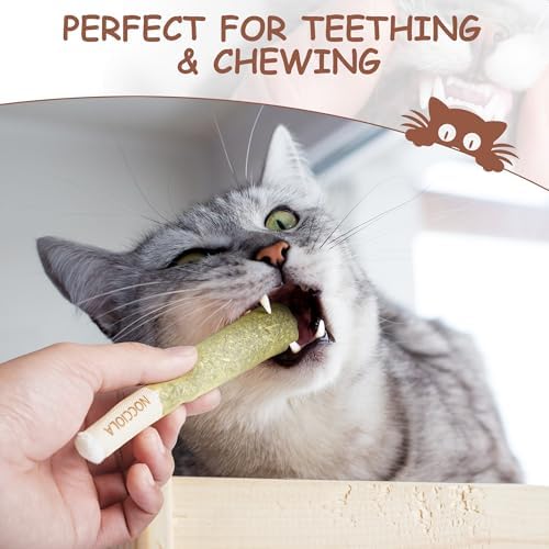 Nocciola 3 Pack Catnip Toys for Cats, Funny Cat Toys Filled with 100% Pure Organic Catnip, Safe Kitten Teething Chew and Kicker Toys, Stress Relieving Fun for Indoor Cats, Brown - Image 4