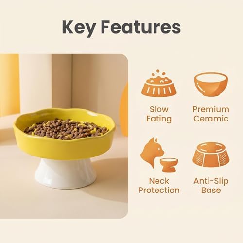 Vexilion Slow Food Pet Bowl, Ceramic, Yellow, Elevated Base Design, Prevent Pet from Too Fast - Image 4