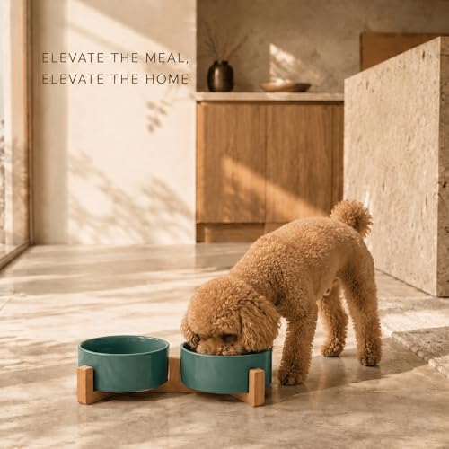 SPUNKYJUNKY Ceramic Dog and Cat Bowl Set with Wooden Stand, Modern Cute Weighted Food Water Set for Small Size Dogs (13.5OZ) & Medium Sized Dogs (28.7OZ) & Cats (1.7 Cups, 2 × Light Green) - Image 2