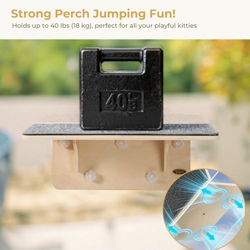 Pecute 2-in-1 Large Cat Window Perch & Wall Shelves, Solid Wood, 21"x11" - Image 5
