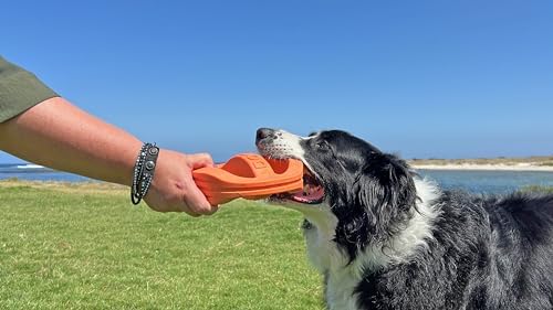 Van Ness Pets Doggi Catch and Carry Flying Disc Floating Dog Toy, Large, Orange - Image 6