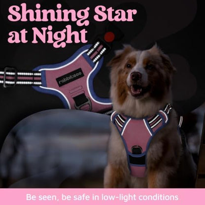 rabbitgoo Dog Harness Small Sized, No Pull 3 Buckles Easy On & Off - Image 6