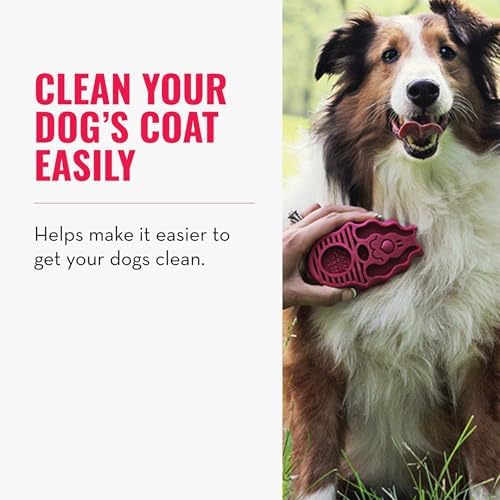 KONG - ZoomGroom - Dog Brush for Grooming and Shampooing - Red Brush for Large Dogs - Image 2