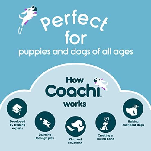 Coachi Tuggi Helix - Interactive Dog Toy for Tug of War & Play - Image 6