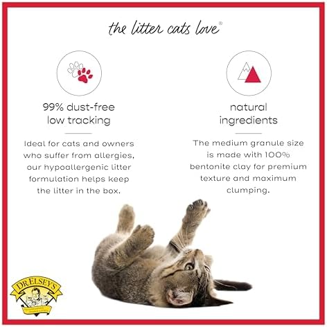 Dr. Elsey's Cat Attract Clumping Clay Cat Litter 40 lb. Bag - Image 4