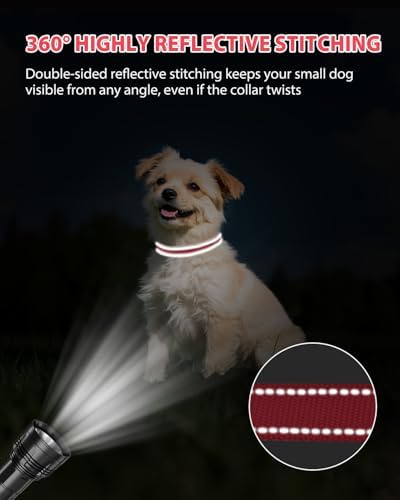 Joytale Feather-Light Dog Collar for Small Dogs & Puppies, 5/8", Red - Image 5